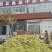 金银花山东临沂产地供应厂家直销现货绒毛