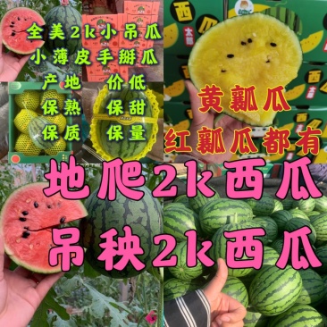 黄瓤特小凤，全美2k，L600，牛奶瓜，冰淇淋小糖丸