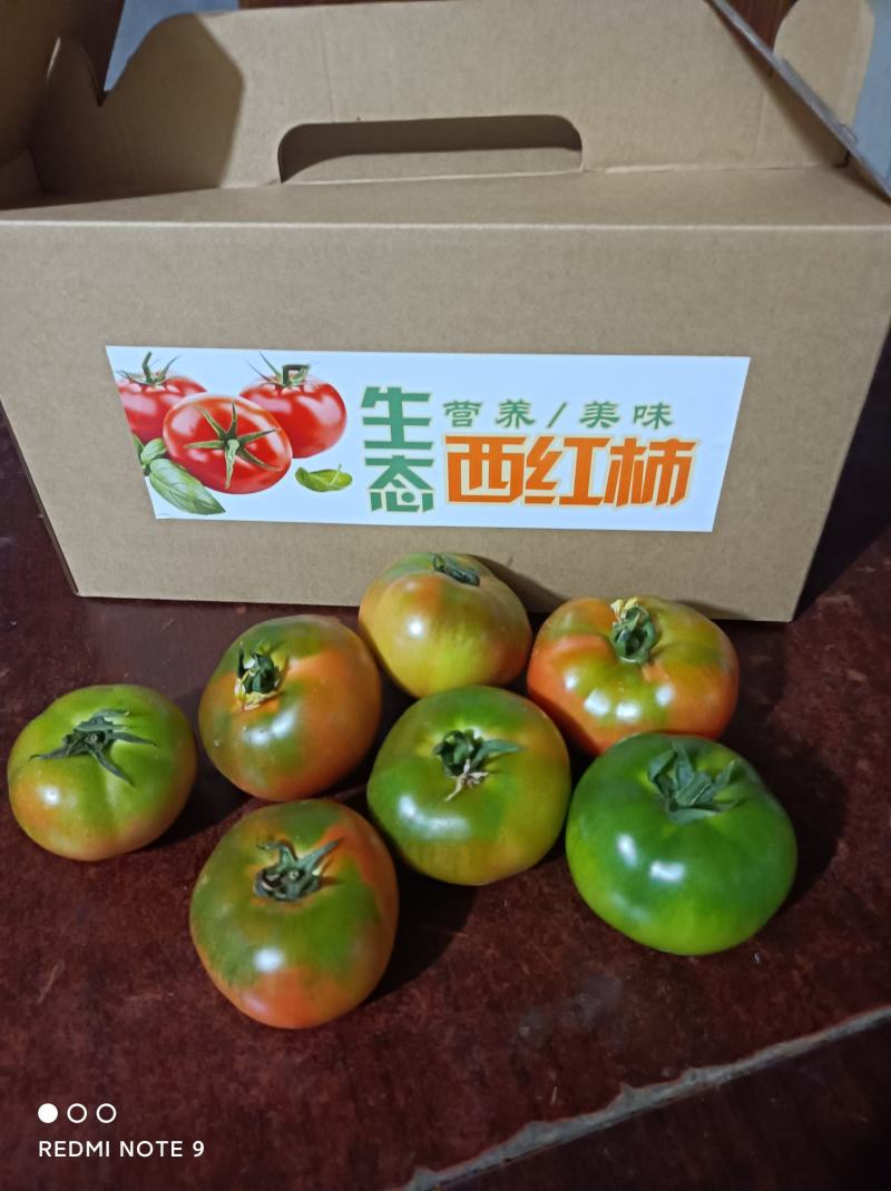 口感草莓西红柿上市，供应电商各大平台团长，基地直供
