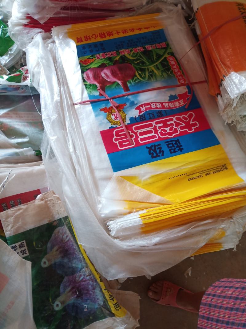 大名紫红皮大蒜