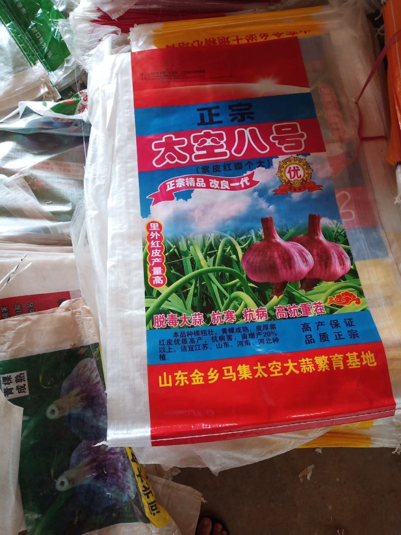 大名紫红皮大蒜