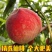 突围桃大量上市支持全国发货可对接电商