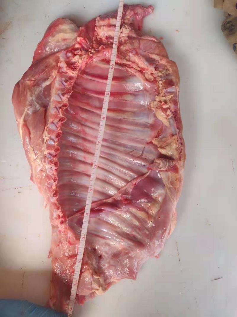精品乳牛排厂家直发一手货源欢迎选购