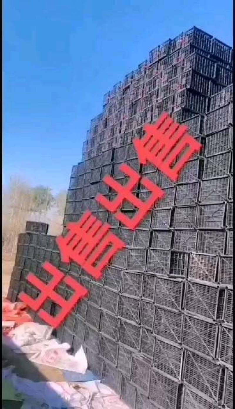 无纺布袋，水果筐内袋，批发量大，要货的老板一速度连系。