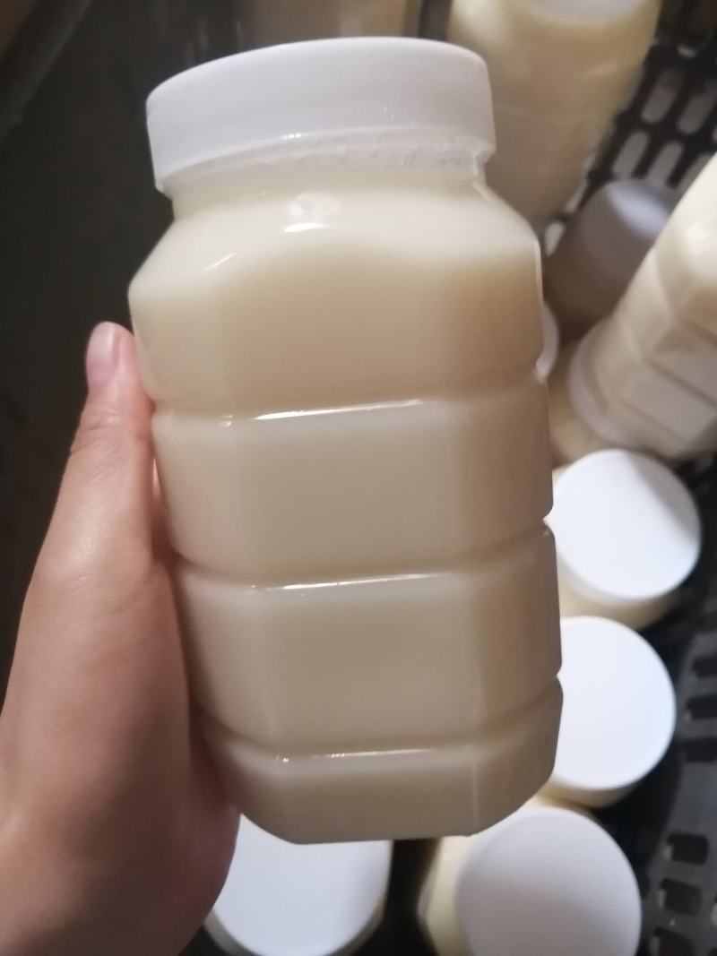 2022年油菜花蜜纯蜂蜜成熟结晶蜂蜜包邮农家好蜜