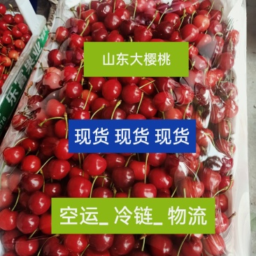 现货山东大樱桃、美早、萨米拖、布鲁克斯、红灯、早大果等=