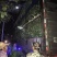 西瓜红.龙薯九号苗大量供应苗子漂亮