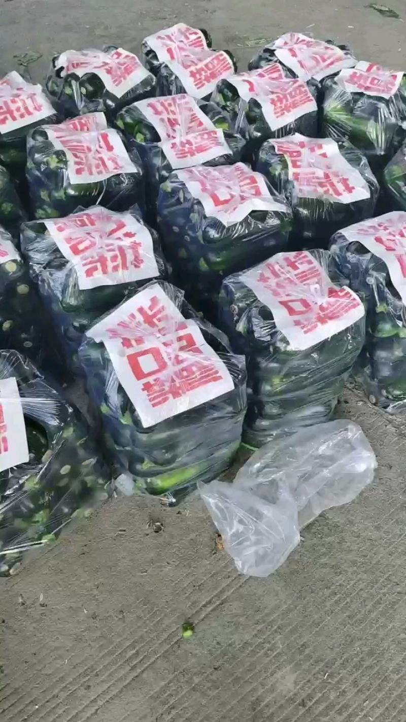 黑皮南瓜1~2斤以上长条形