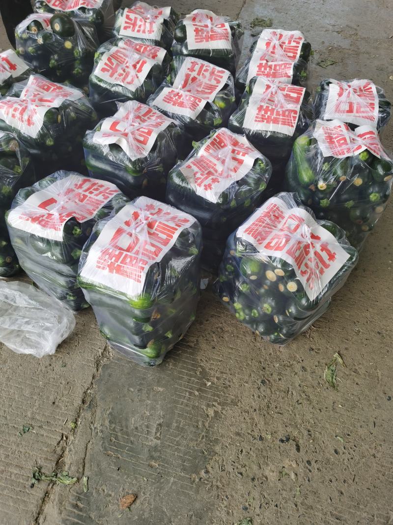 黑皮南瓜1~2斤以上长条形