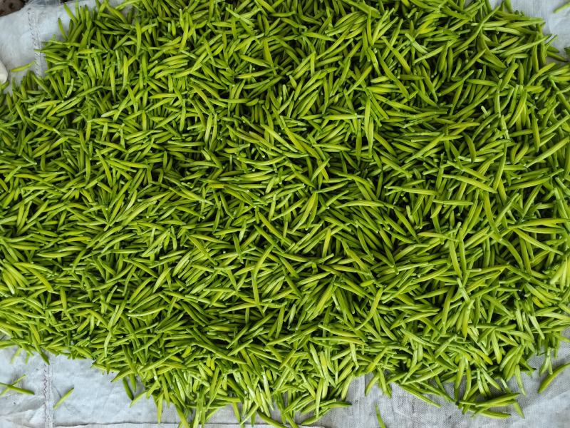 黄花菜