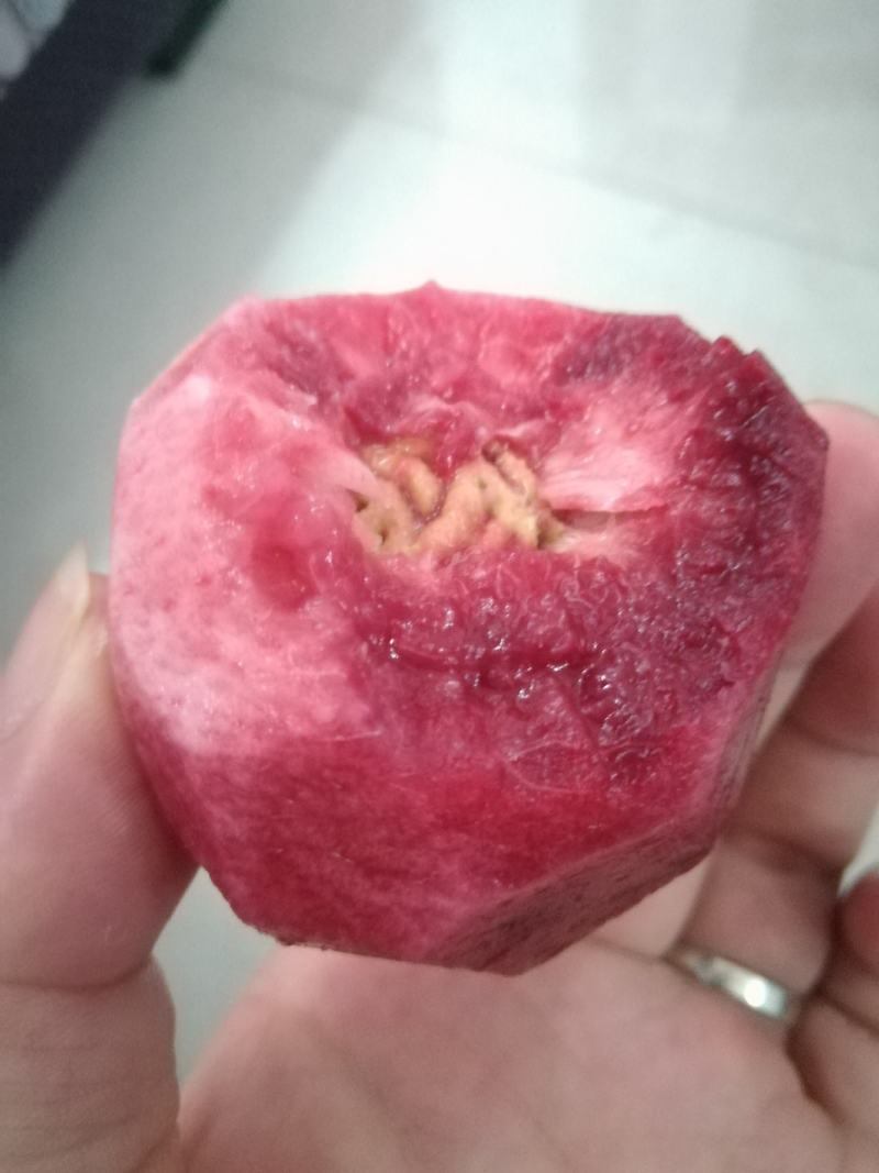 湖北枝江血桃离核猪血红朱砂红批发供应电商一件代发快递