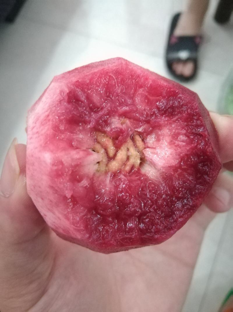 湖北枝江血桃离核猪血红朱砂红批发供应电商一件代发快递