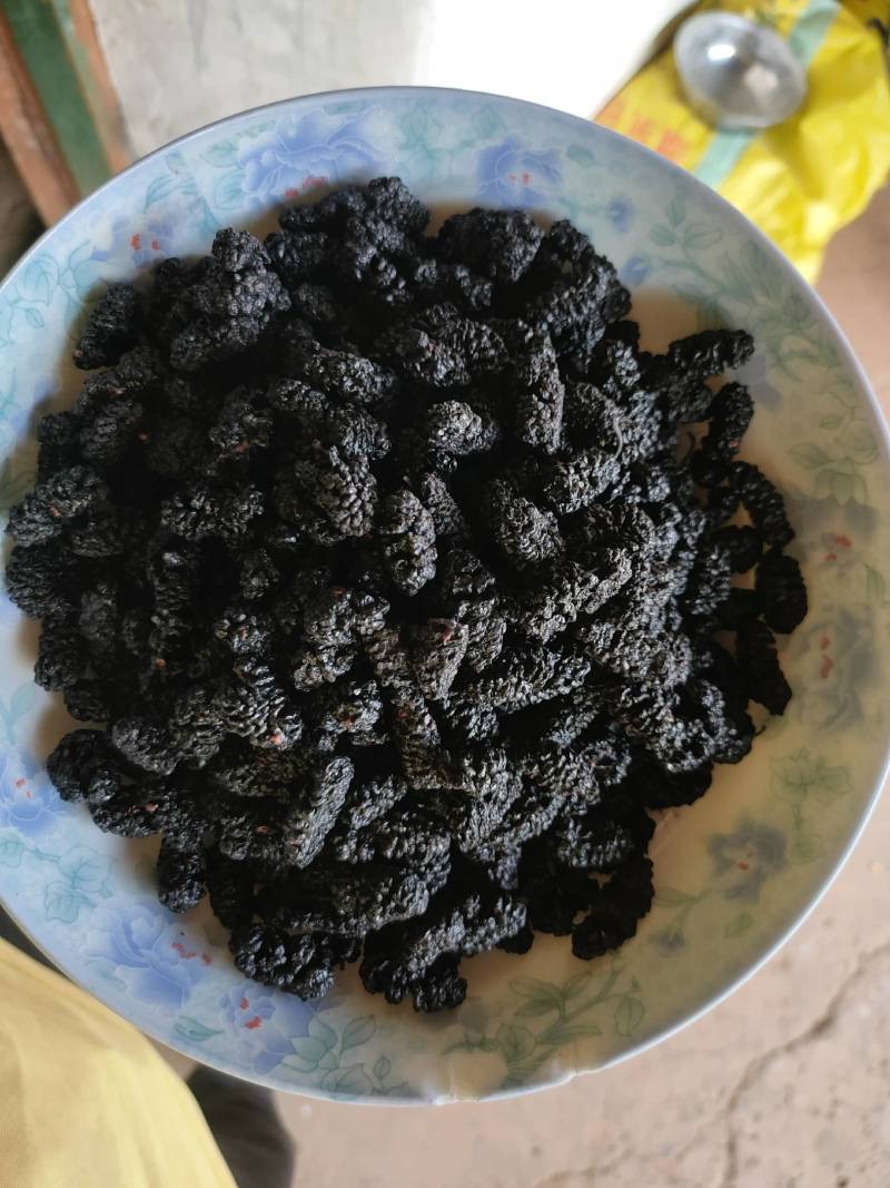 桑葚