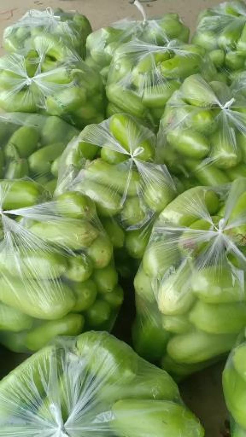 诚信经营青茄子大量共应
