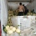 红肉脆梨，各种八里香甜瓜5月份上市，绿色无公害，品种多
