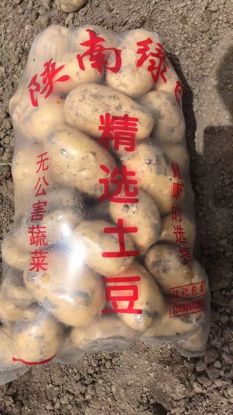 优质土豆个头均匀，皮毛光光滑，地头直供。