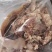 全熟去骨牛头肉，质量保证，物优价廉，支持样品，欢迎老板留