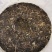 兴海茶厂易武刮风寨古树生茶357克普洱生茶