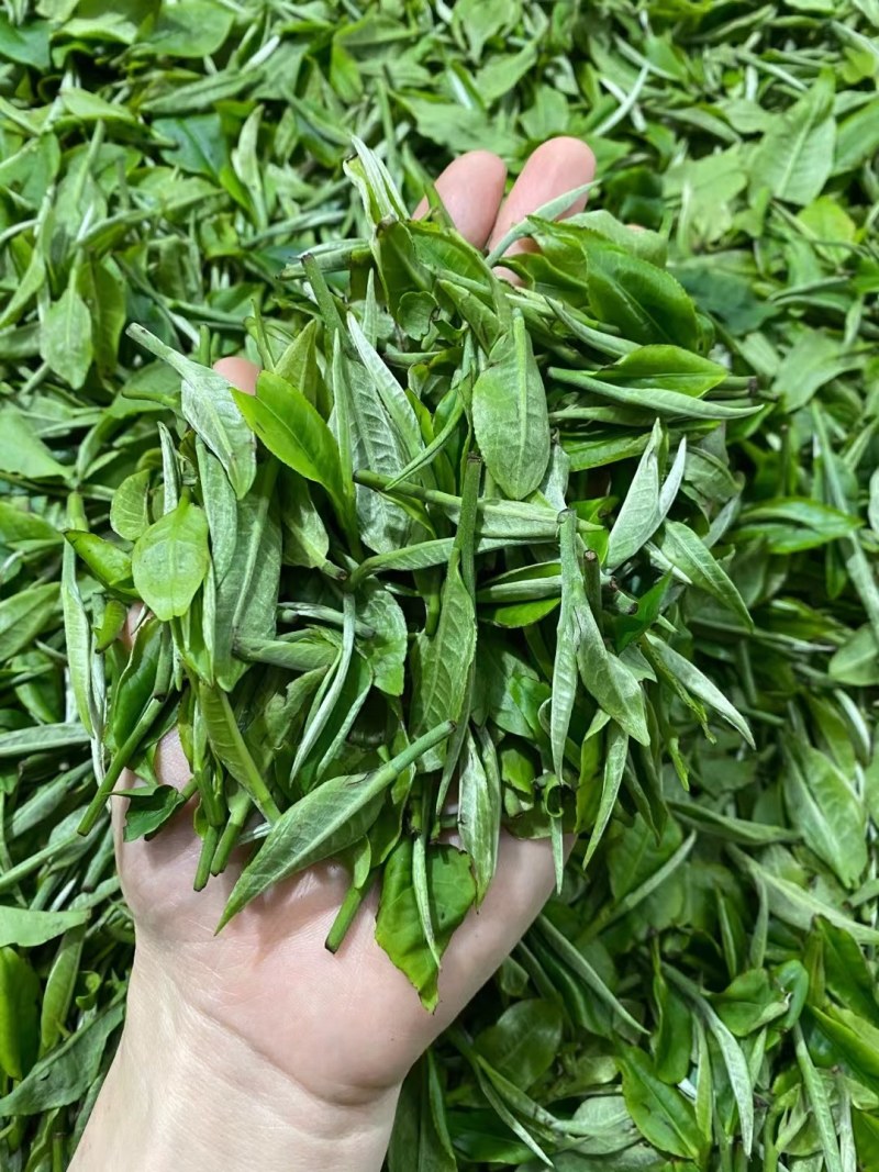 红茶英德红茶英红九号，2021春茶一级功夫茶