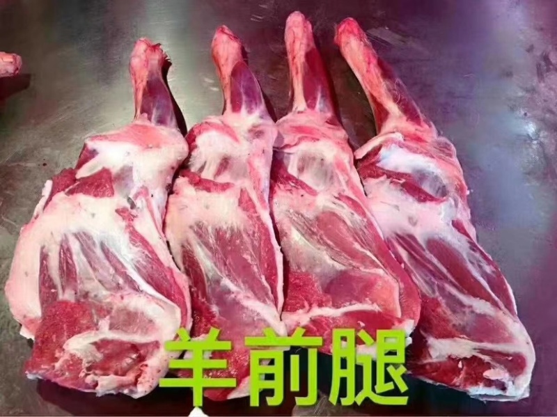 羊排羊腿一箱20斤5-9个的标准分前腿后腿