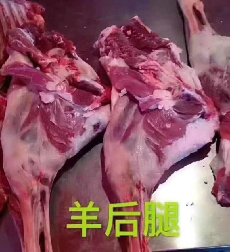 羊排羊腿一箱20斤5-9个的标准分前腿后腿