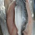 热销巴沙鱼柳去皮、带皮（全规格）