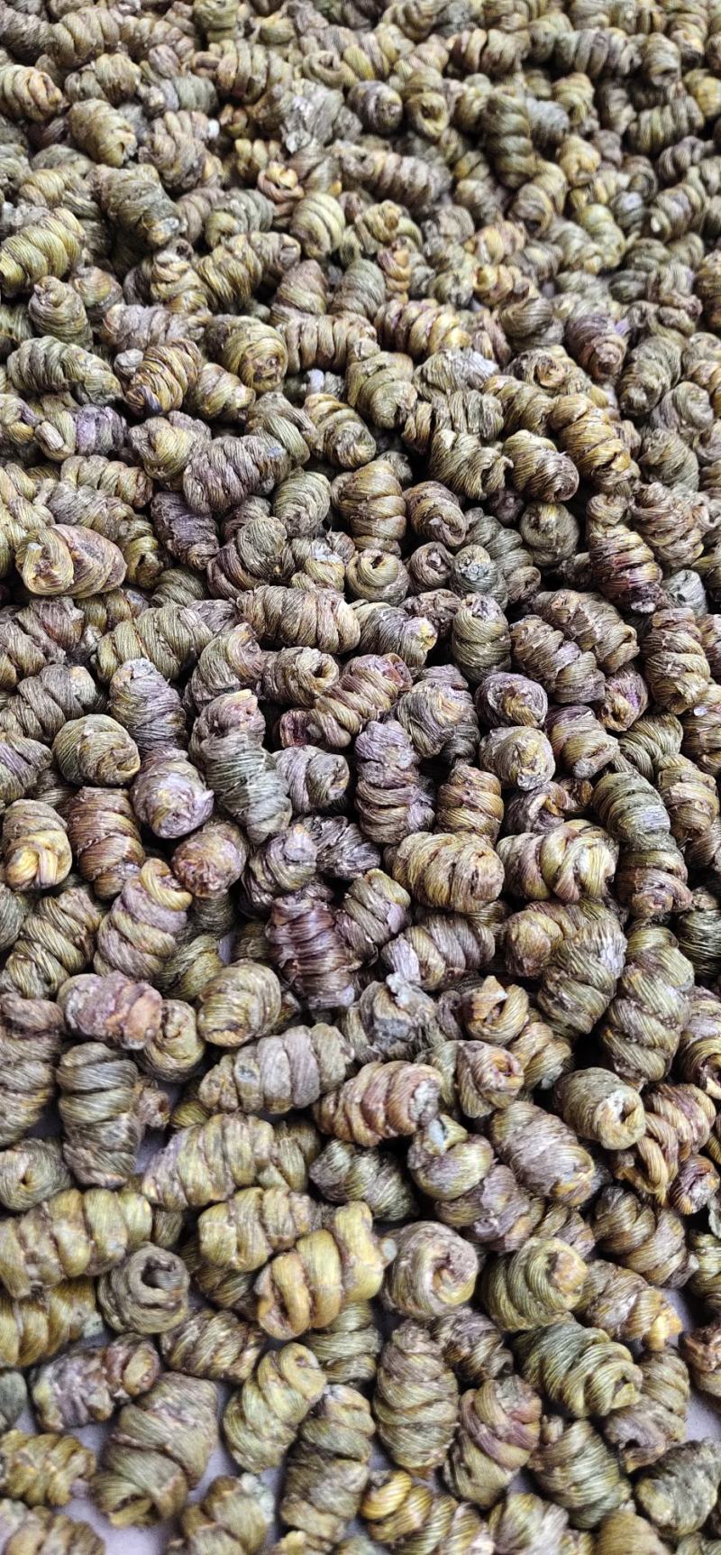 产地直销浙江品种正宗铁皮石斛枫斗颗粒饱满胶质好味香