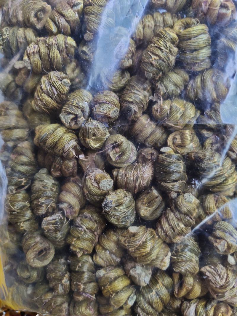 产地直销浙江品种正宗铁皮石斛枫斗颗粒饱满胶质好味香