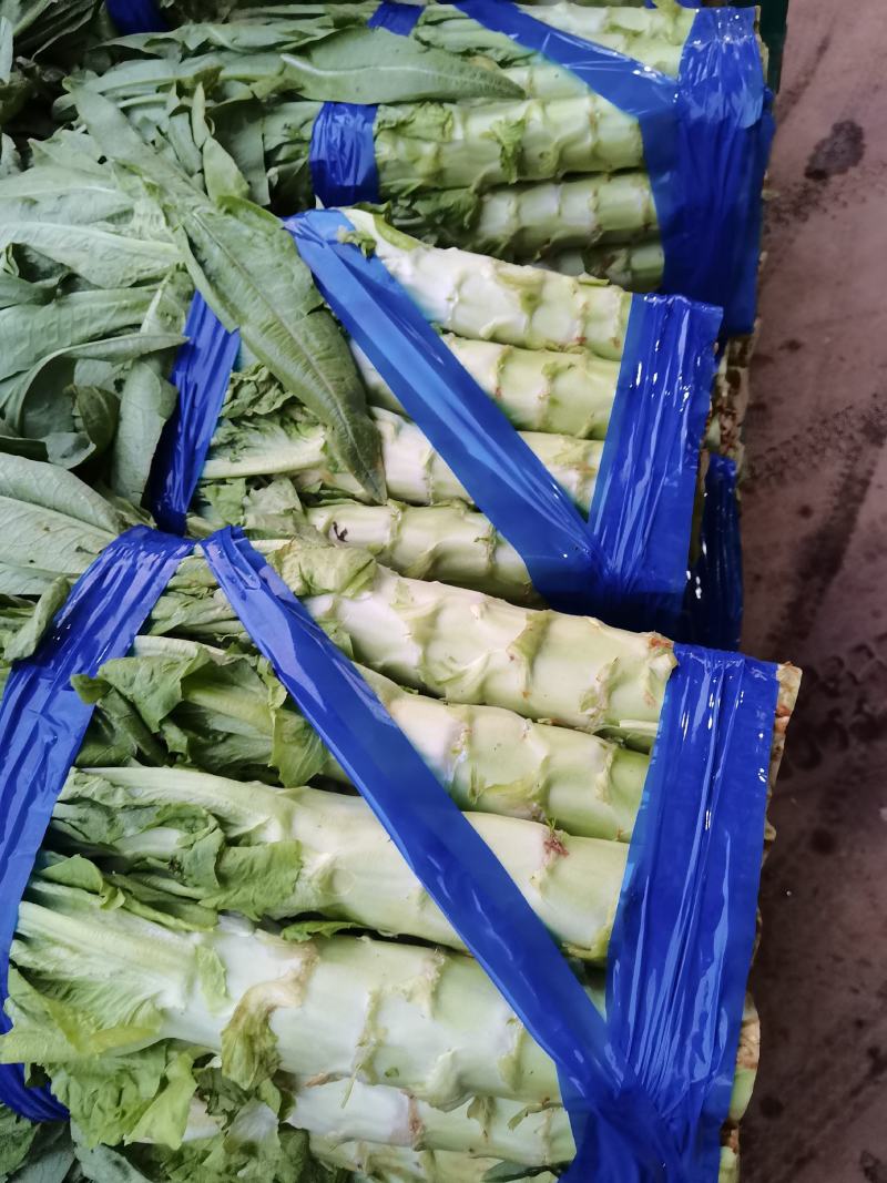 莴笋基地常年供应精品货，量大从优，物美廉价，欢迎咨询选购