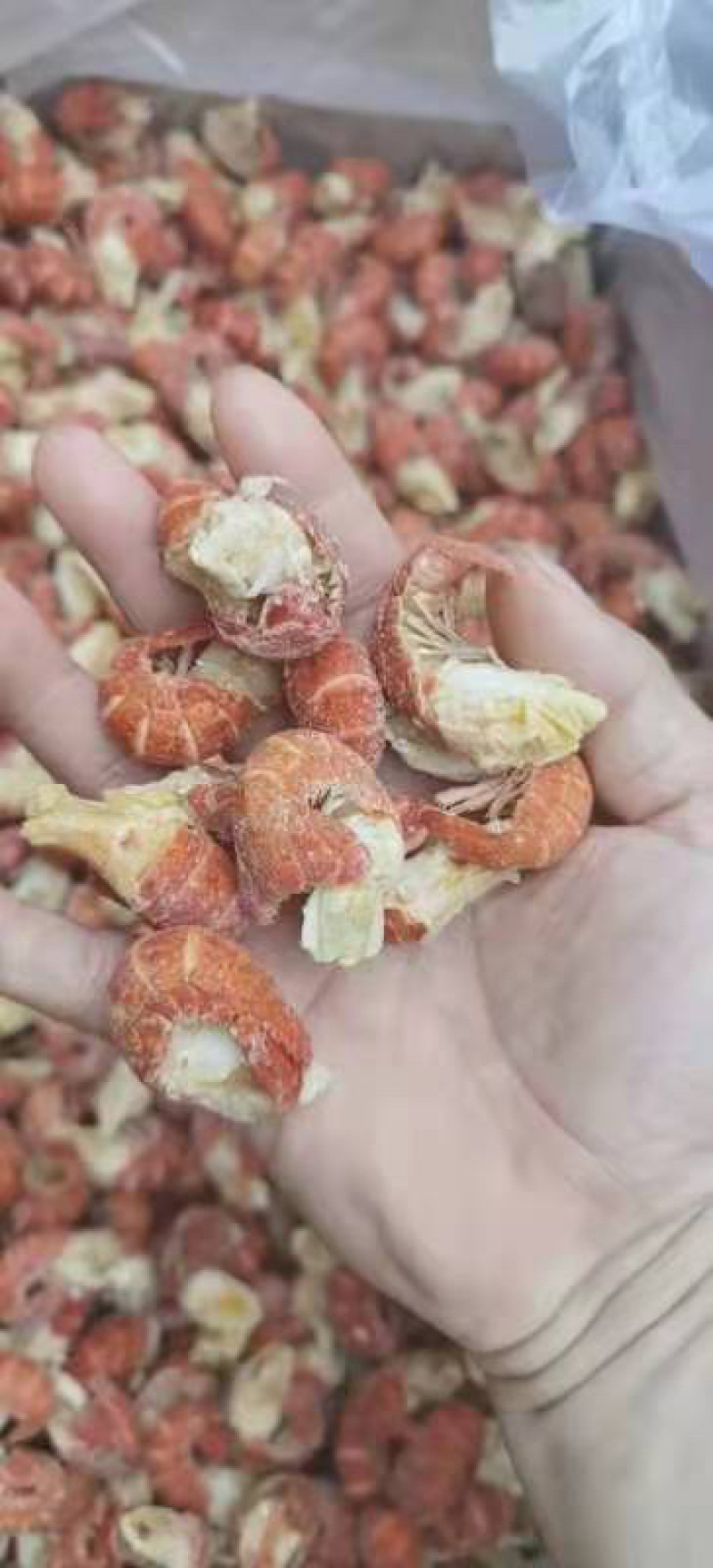 无冰虾尾原料龙虾尾小龙虾虾尾20斤净重只多不少