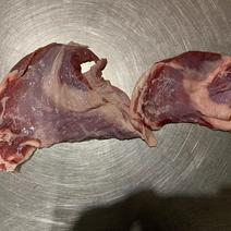 新西兰精修羔羊腩肉颜色鲜亮不带骨头不带肥油