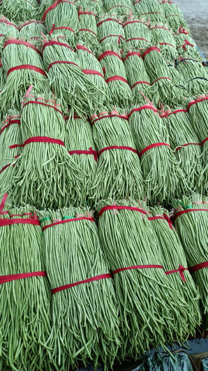 精品长豆角豇豆绿直长徐州新沂产地蔬菜上市中