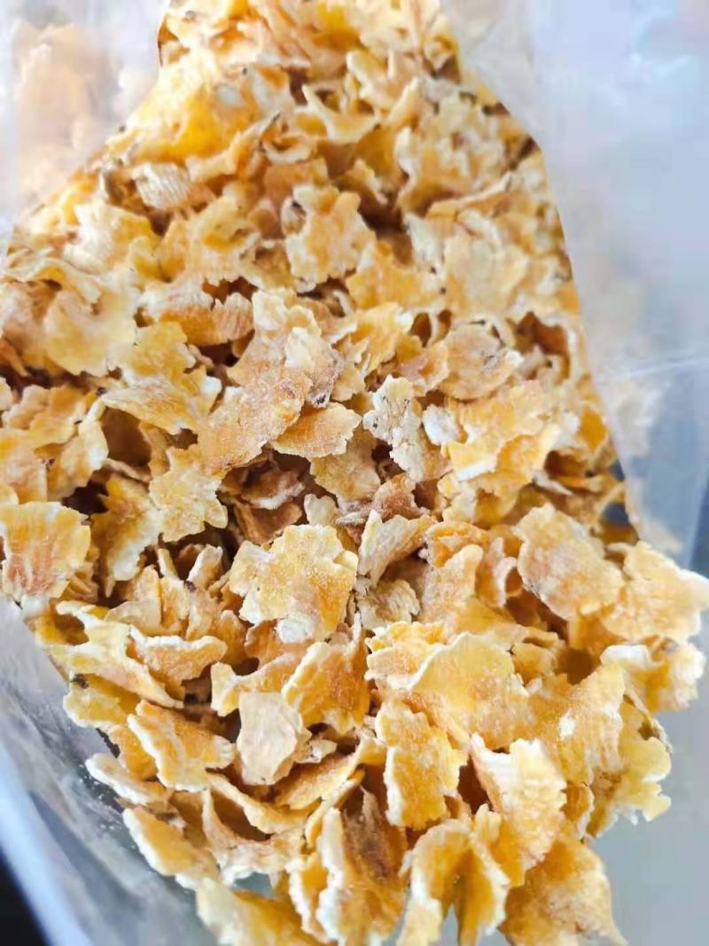 黑龙江玉米压片，奶牛场专供
