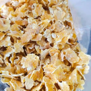 黑龙江玉米压片，奶牛场专供