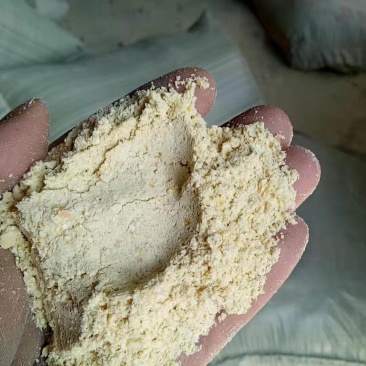玉米次粉，等量代替玉米