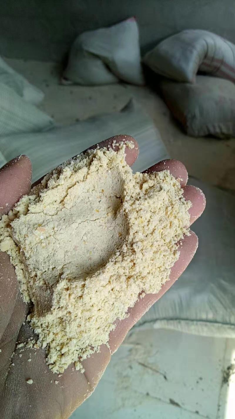 玉米次粉，等量代替玉米