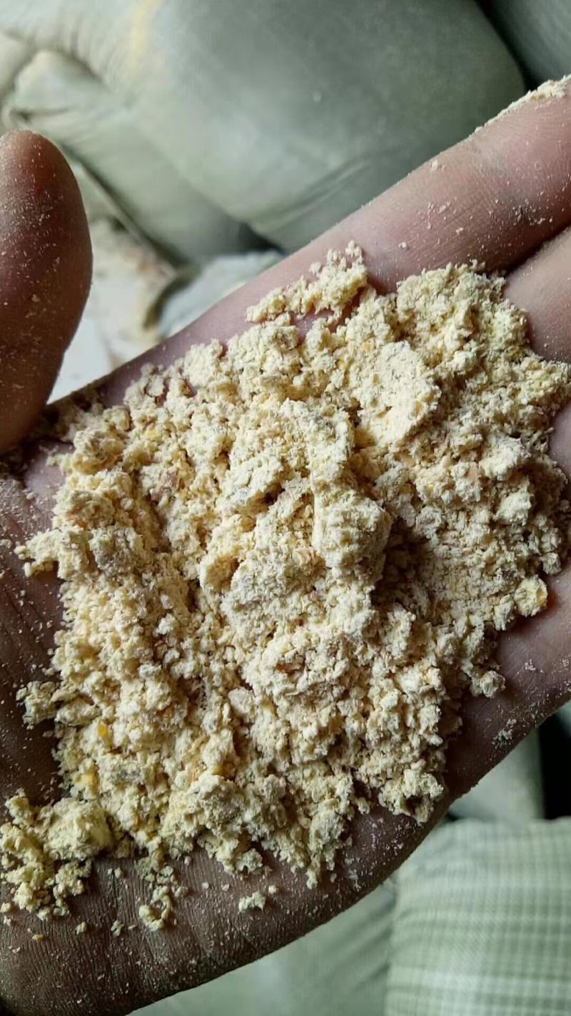 玉米次粉，等量代替玉米