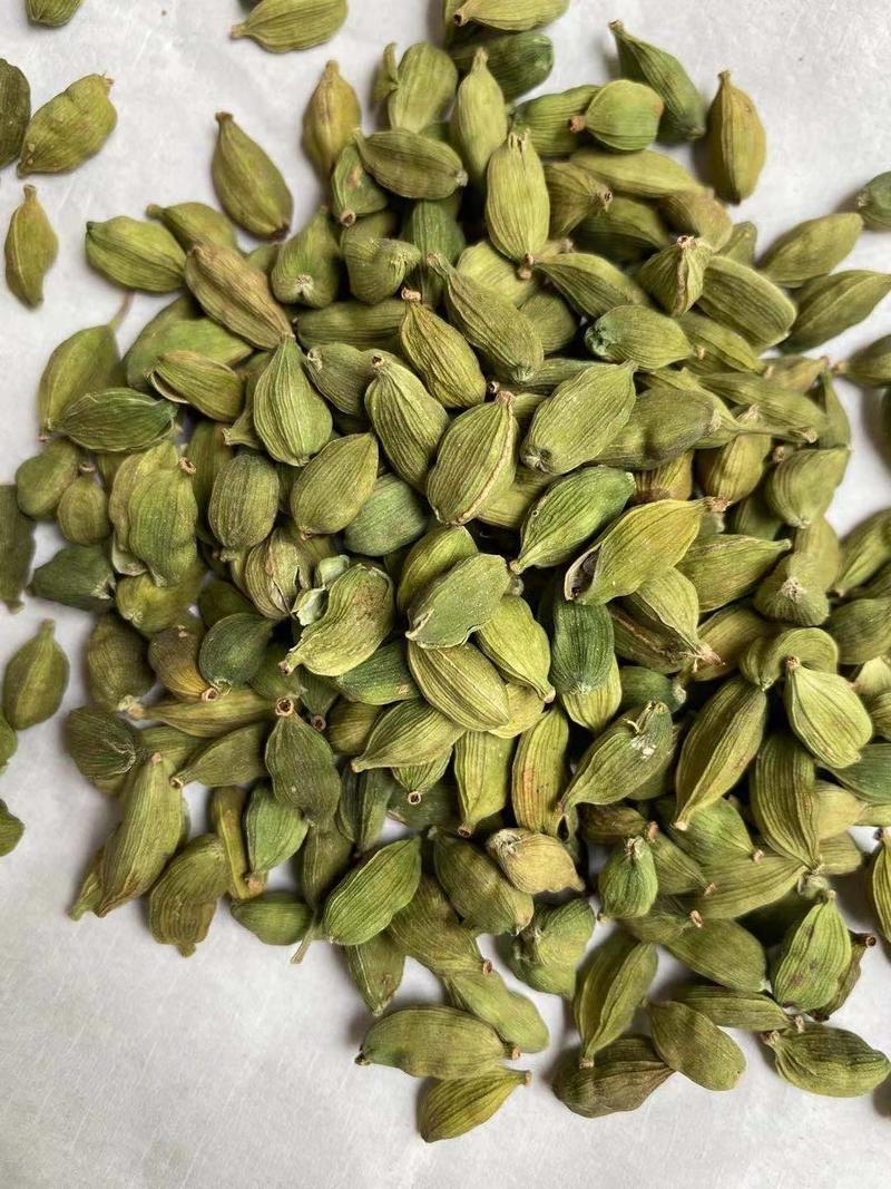 绿豆蔻，印度进口一手货源，常年供应