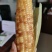 云南香糯小玉米