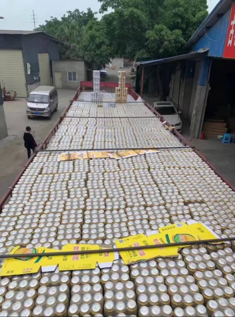 厂家直供听装富维纯生啤酒夜场小麦王啤酒500ml批发