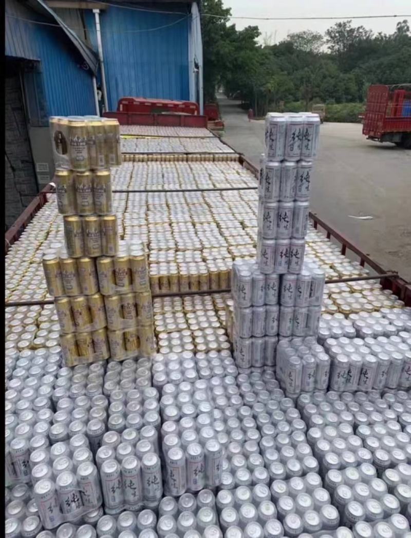 厂家直供听装富维纯生啤酒夜场小麦王啤酒500ml批发