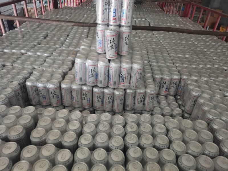 厂家直供听装富维纯生啤酒夜场小麦王啤酒500ml批发