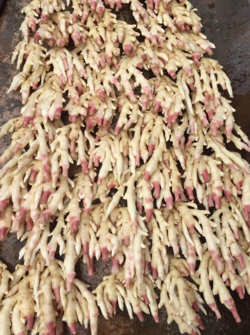 仔姜，菜姜，量大从优，质量上城