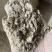 供应稻糠筛糠糠面压缩稻壳饲料原料养殖垫料