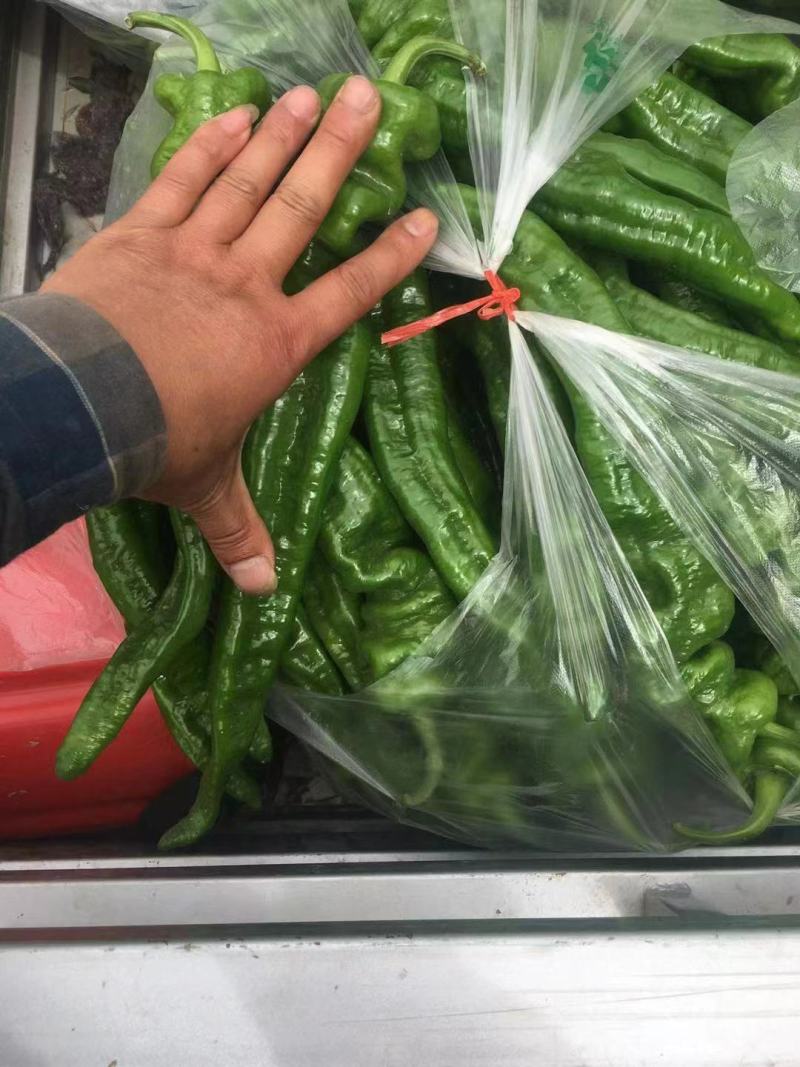 精品薄皮产地直发品质保证量大从优一手货源欢迎联