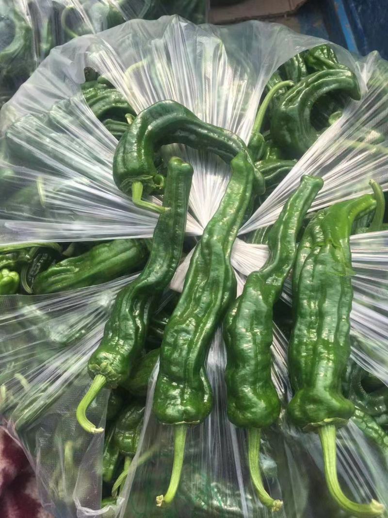 精品薄皮产地直发品质保证量大从优一手货源欢迎联