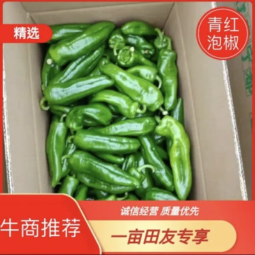 精品薄皮产地直发品质保证量大从优一手货源欢迎联