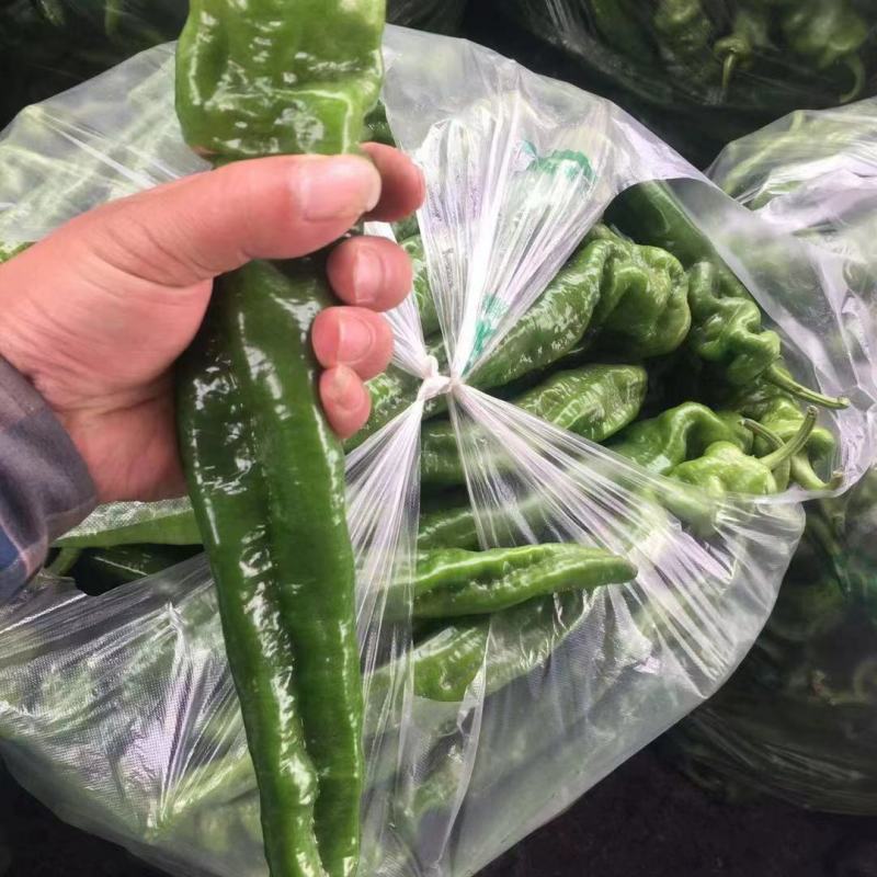 精品薄皮产地直发品质保证量大从优一手货源欢迎联
