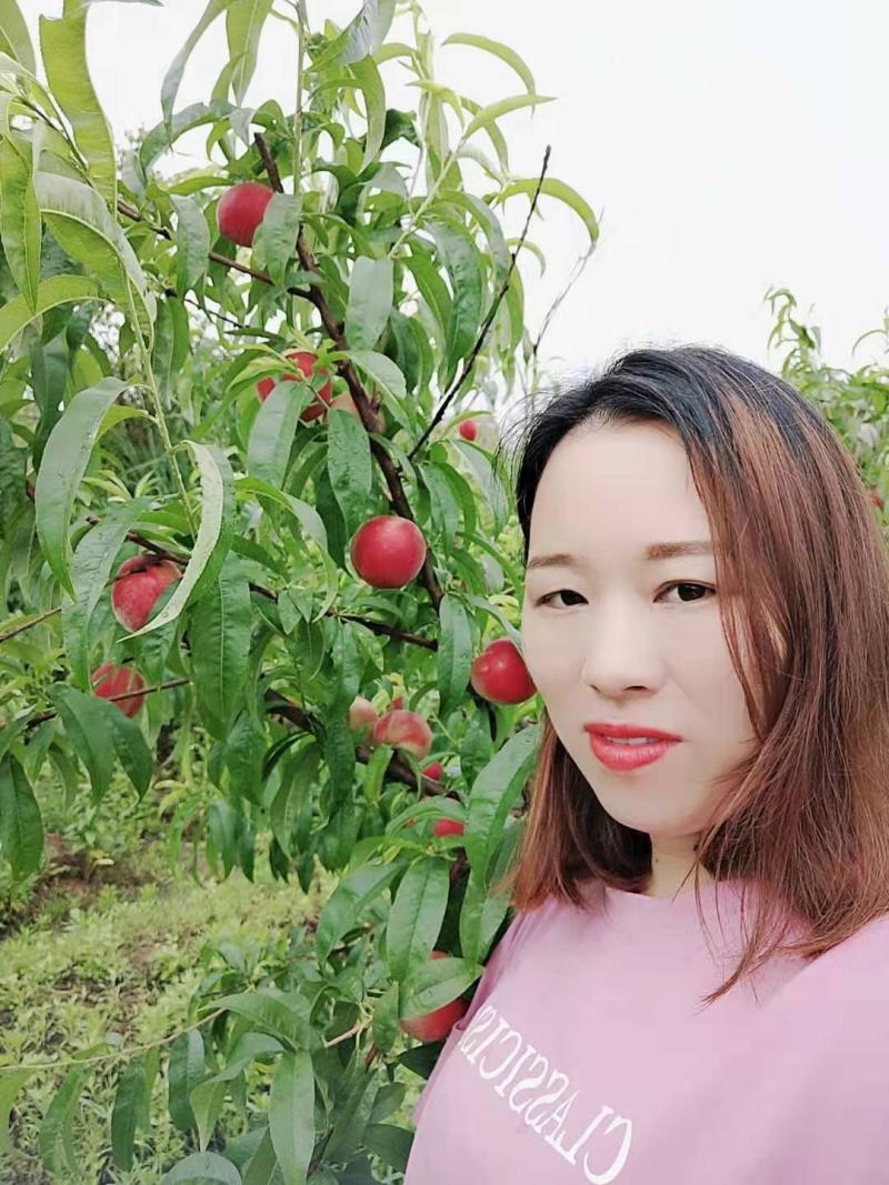 春雪桃自家种植，一手货源，量大从优新鲜采摘发货零售批发