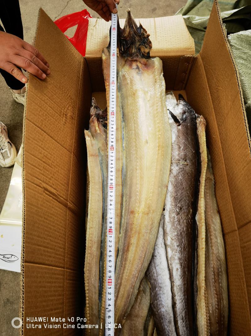 鳗鱼新货加工海鳗鱼咸鳗鱼海鱼鱼干海产品批发